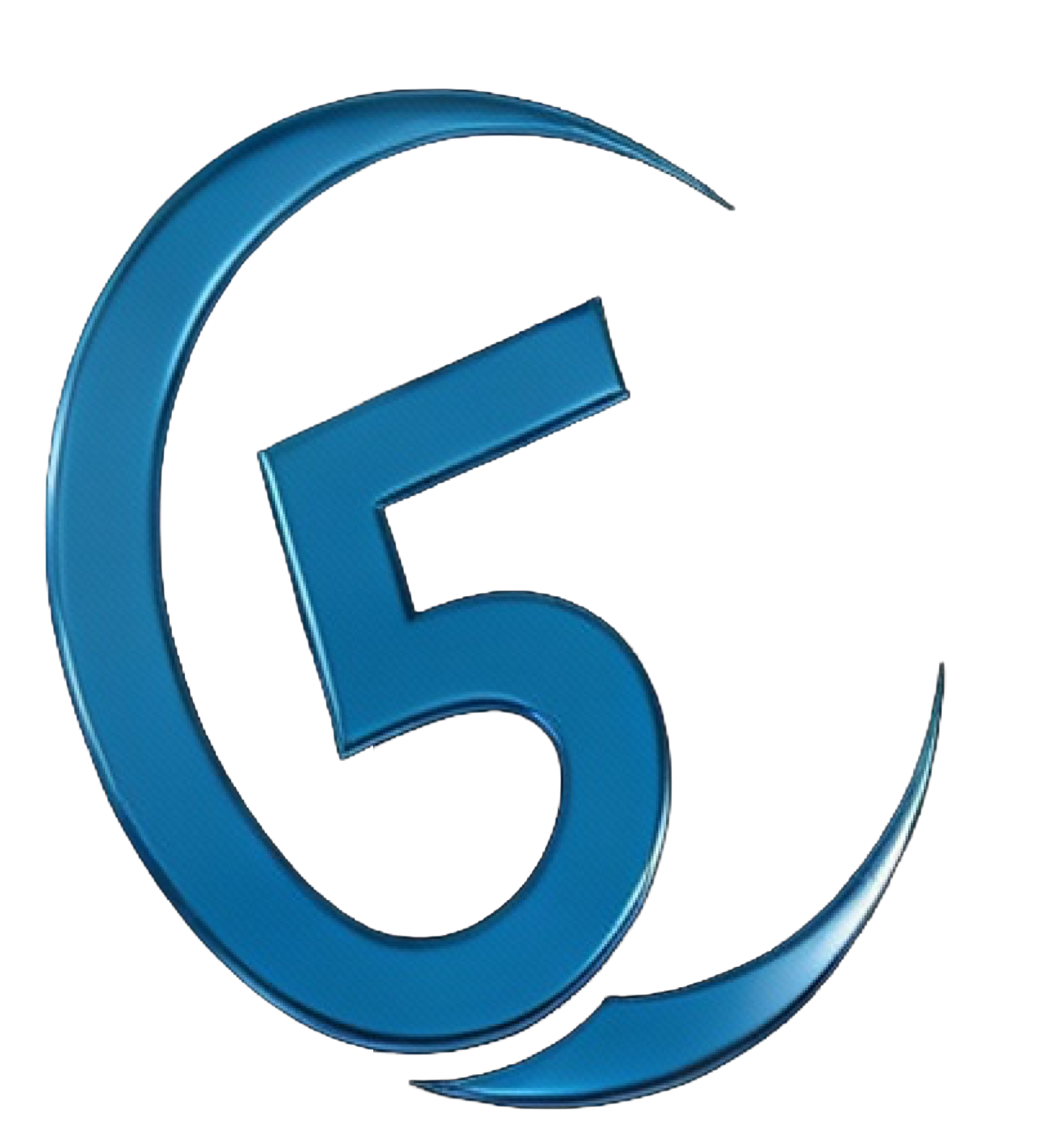 Custom 5 Landscape logo